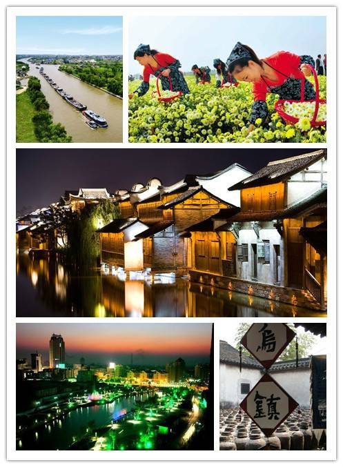 桐乡市