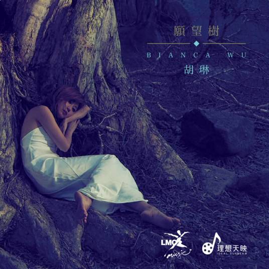 愿望树（胡琳演唱歌曲）