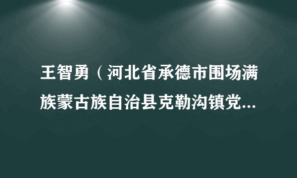 王智勇（河北省承德市围场满族蒙古族自治县克勒沟镇党委书记）