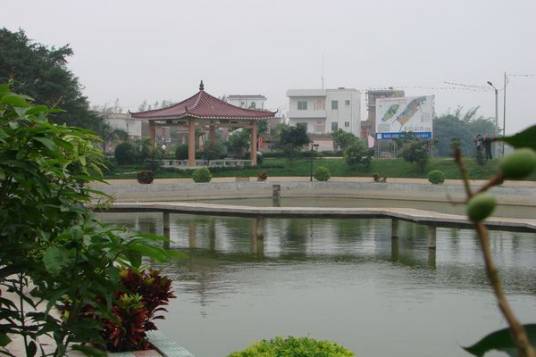 南山村（广东湛江市徐闻县下辖村）