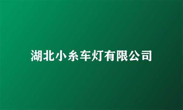 湖北小糸车灯有限公司