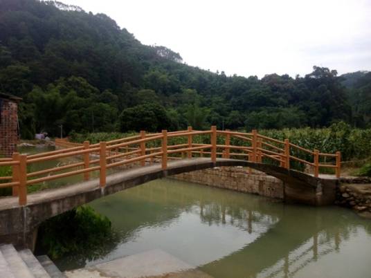 东风村（江西省赣州市信丰县大阿镇下辖村）