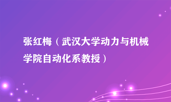 张红梅（武汉大学动力与机械学院自动化系教授）