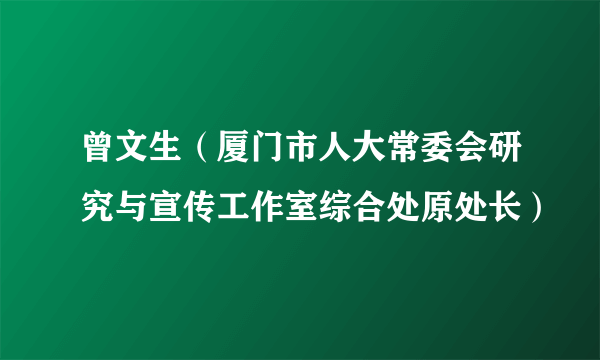 曾文生（厦门市人大常委会研究与宣传工作室综合处原处长）