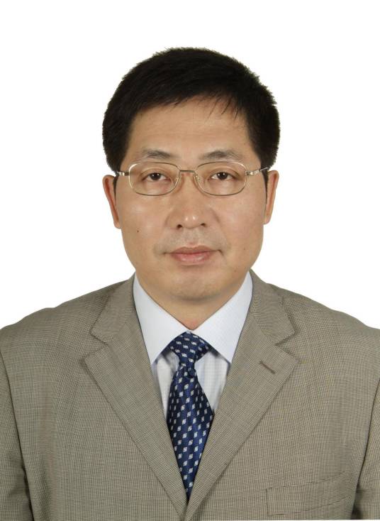 王立平（电子科技大学机械电子工程学院教授）