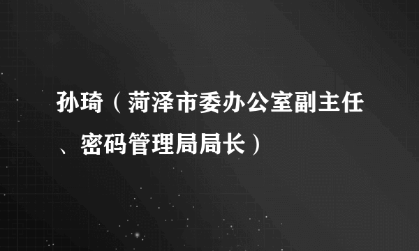 孙琦（菏泽市委办公室副主任、密码管理局局长）