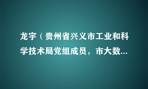 龙宇（贵州省兴义市工业和科学技术局党组成员，市大数据服务中心主任）