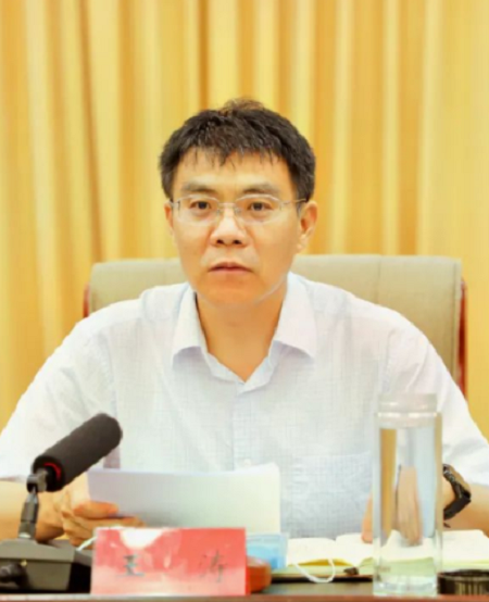 王涛（邢台市宁晋县委书记）