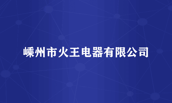 嵊州市火王电器有限公司