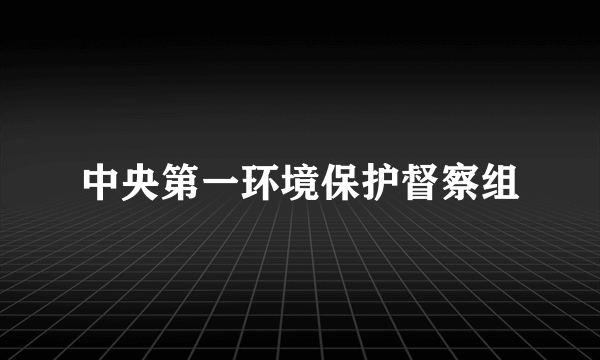 中央第一环境保护督察组