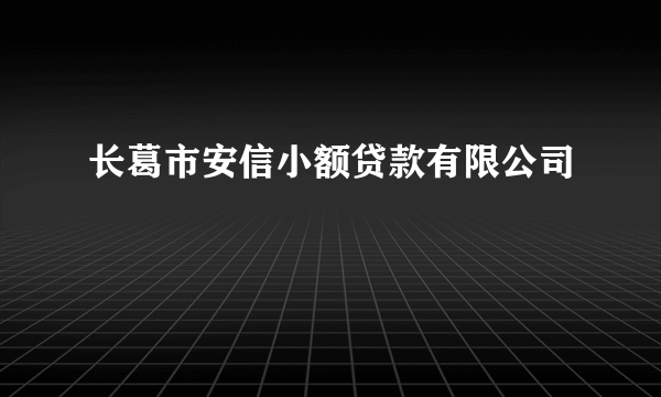 长葛市安信小额贷款有限公司
