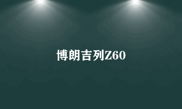 博朗吉列Z60