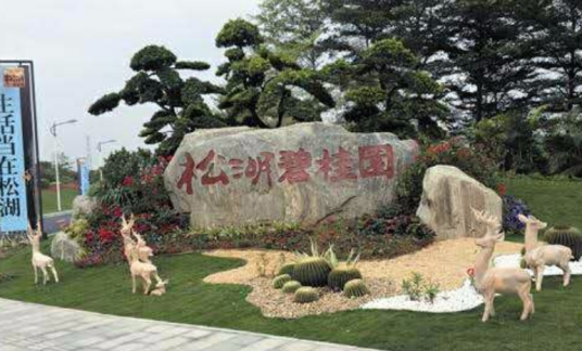 松湖碧桂园