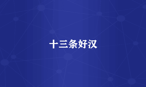 十三条好汉
