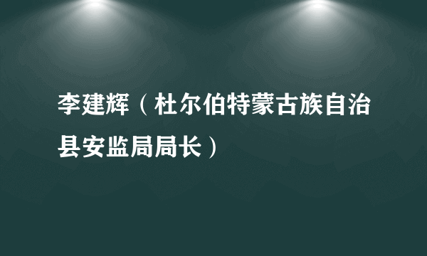 李建辉（杜尔伯特蒙古族自治县安监局局长）