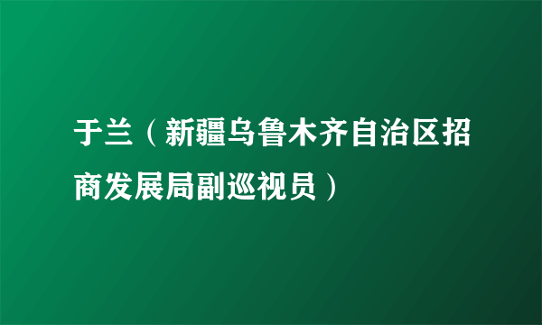 于兰（新疆乌鲁木齐自治区招商发展局副巡视员）