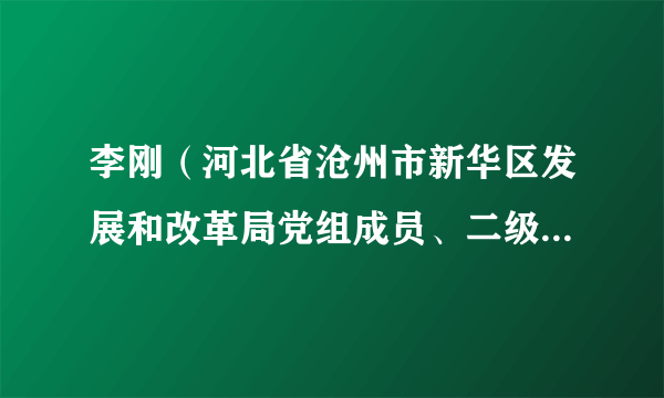 李刚（河北省沧州市新华区发展和改革局党组成员、二级主任科员）