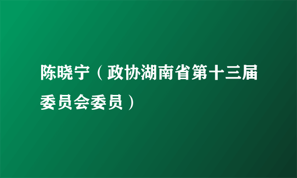 陈晓宁（政协湖南省第十三届委员会委员）