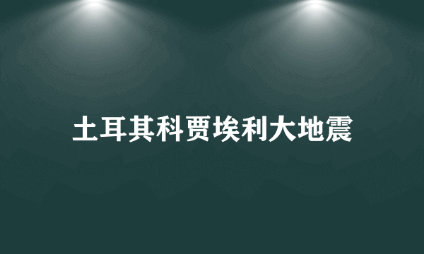 土耳其科贾埃利大地震