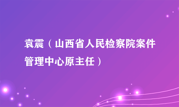 袁震（山西省人民检察院案件管理中心原主任）
