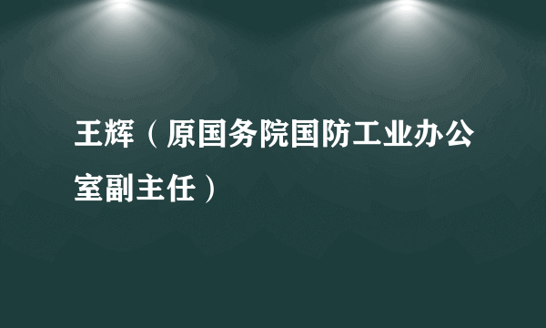 王辉（原国务院国防工业办公室副主任）