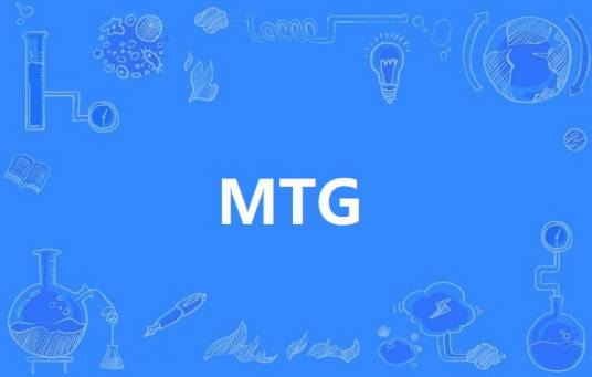 MTG（宏块测试发生器）