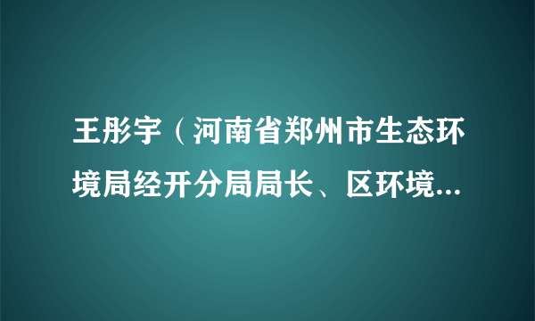 王彤宇（河南省郑州市生态环境局经开分局局长、区环境攻坚办副主任）