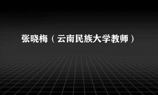张晓梅（云南民族大学教师）