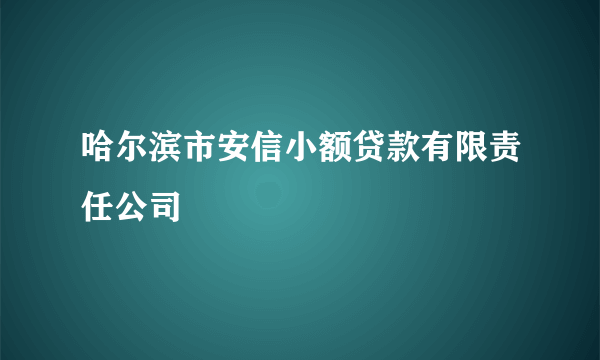 哈尔滨市安信小额贷款有限责任公司