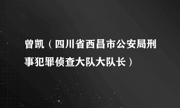 曾凯（四川省西昌市公安局刑事犯罪侦查大队大队长）