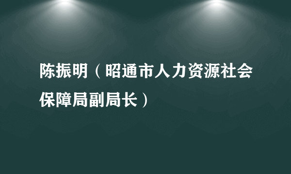 陈振明（昭通市人力资源社会保障局副局长）