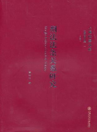 刑法法条关系研究
