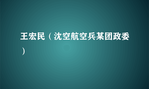王宏民（沈空航空兵某团政委）