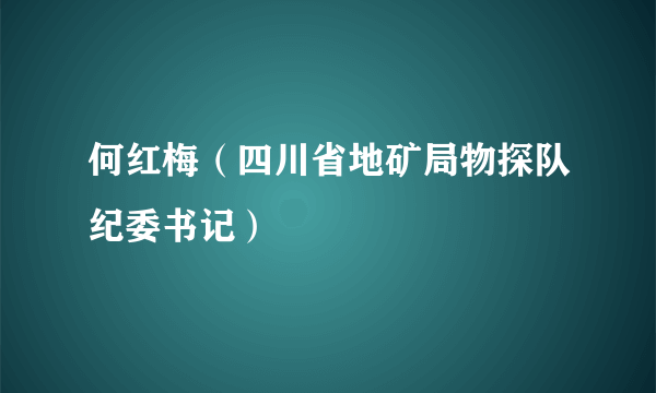 何红梅（四川省地矿局物探队纪委书记）
