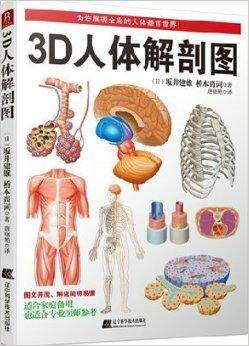 3D人体解剖图大胆形象的简明图解