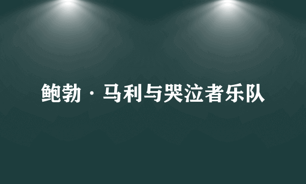 鲍勃·马利与哭泣者乐队