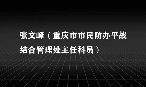 张文峰（重庆市市民防办平战结合管理处主任科员）