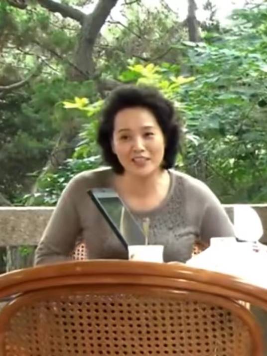 张茵（都市情感剧电视剧《门·第》中的女配角）