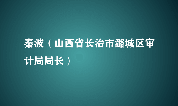 秦波（山西省长治市潞城区审计局局长）