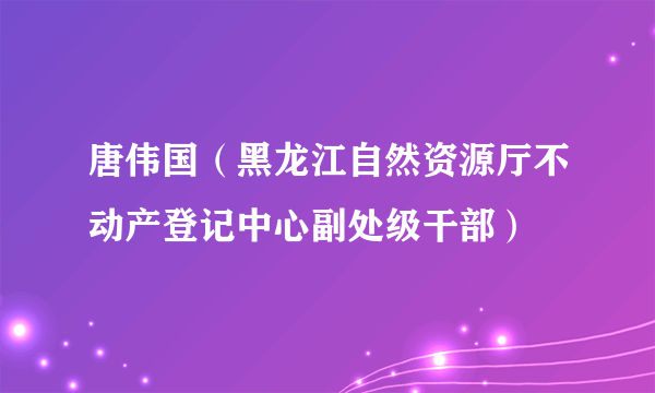 唐伟国（黑龙江自然资源厅不动产登记中心副处级干部）