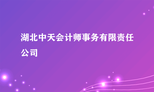 湖北中天会计师事务有限责任公司