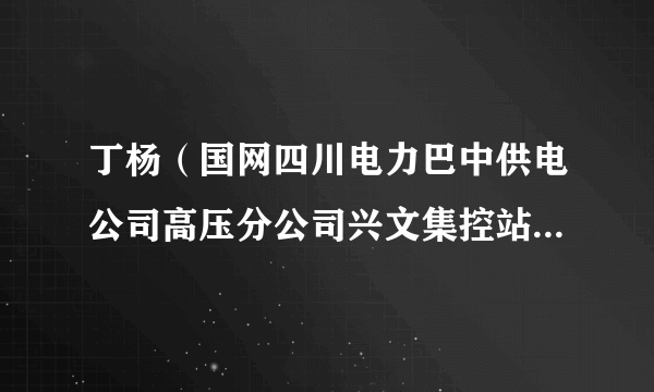 丁杨（国网四川电力巴中供电公司高压分公司兴文集控站变电运维一班副班长）
