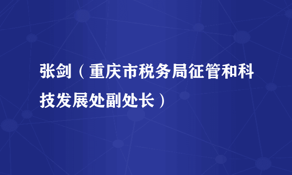 张剑（重庆市税务局征管和科技发展处副处长）