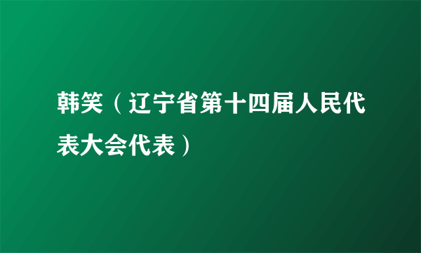 韩笑（辽宁省第十四届人民代表大会代表）