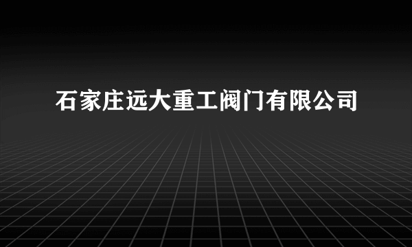 石家庄远大重工阀门有限公司