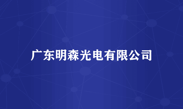 广东明森光电有限公司