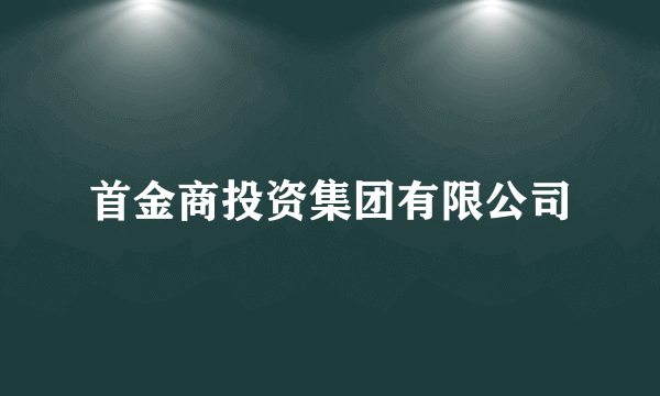 首金商投资集团有限公司