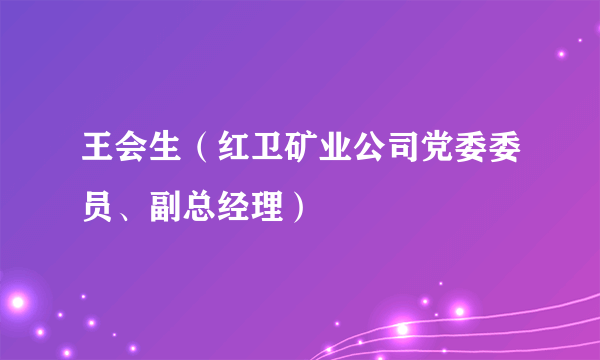王会生（红卫矿业公司党委委员、副总经理）