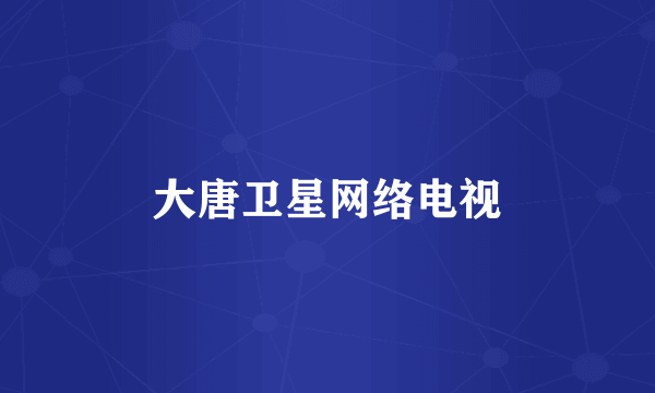 大唐卫星网络电视