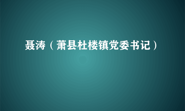 聂涛（萧县杜楼镇党委书记）
